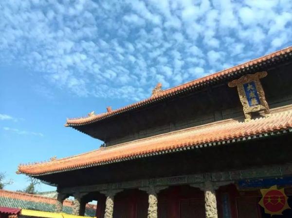 梦想之山东，自信源泉的沃土